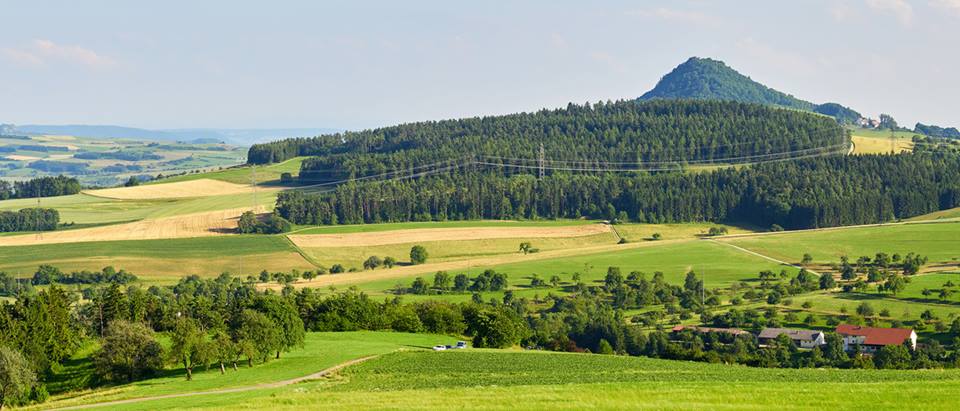 Alnatura Gottmadingen: Landschaft mit Wald und Wiesen